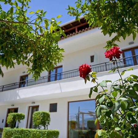 Villa Qeli Gjirokastër Exteriör bild