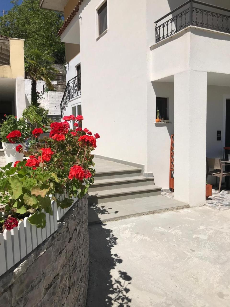 Villa Qeli Gjirokastër Exteriör bild