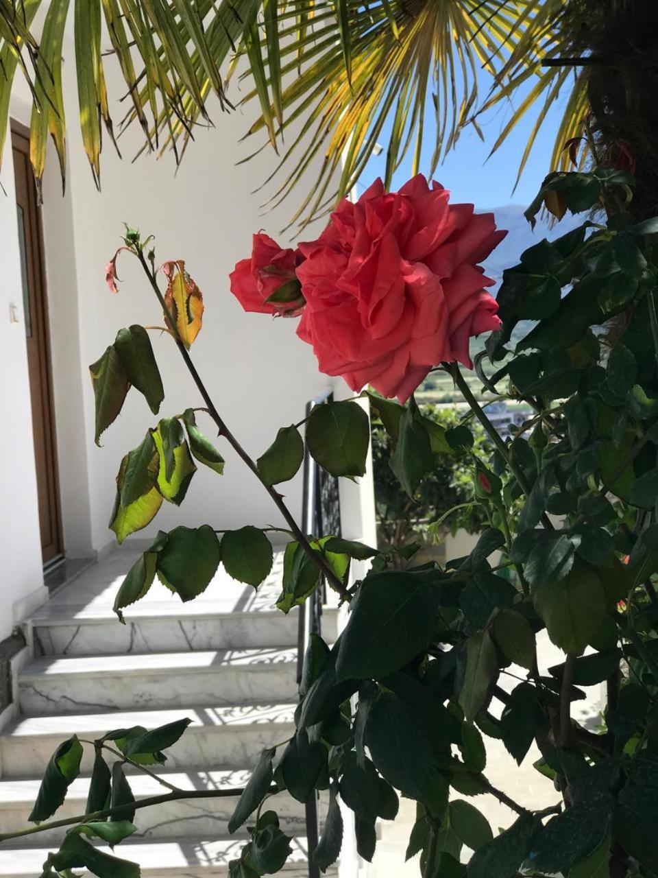 Villa Qeli Gjirokastër Exteriör bild