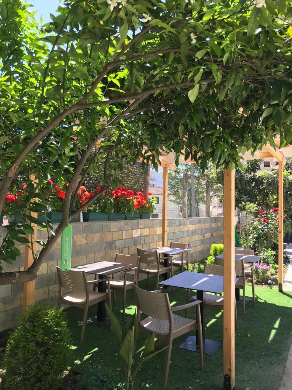 Villa Qeli Gjirokastër Exteriör bild